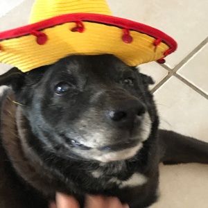 Meet your Posher, Sharisse